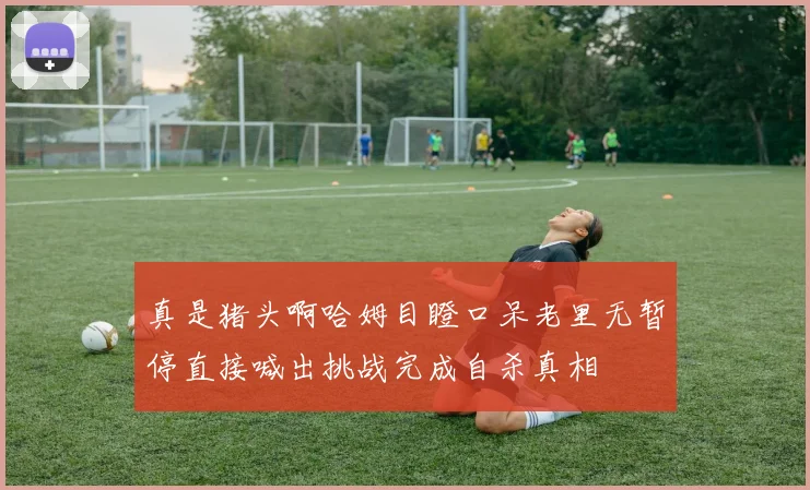 真是猪头啊哈姆目瞪口呆老里无暂停直接喊出挑战完成自杀真相